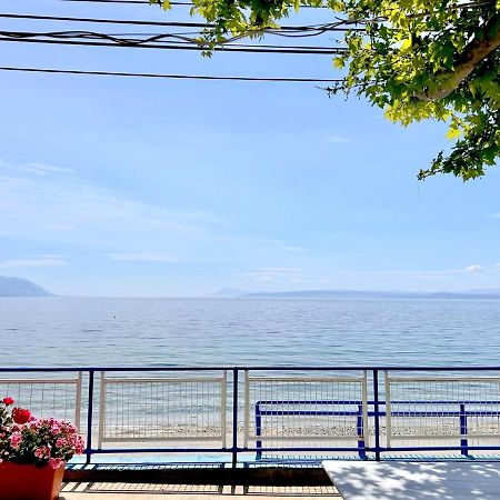 Αγκυροβόλιο Hotel Ilia Ngoại thất bức ảnh