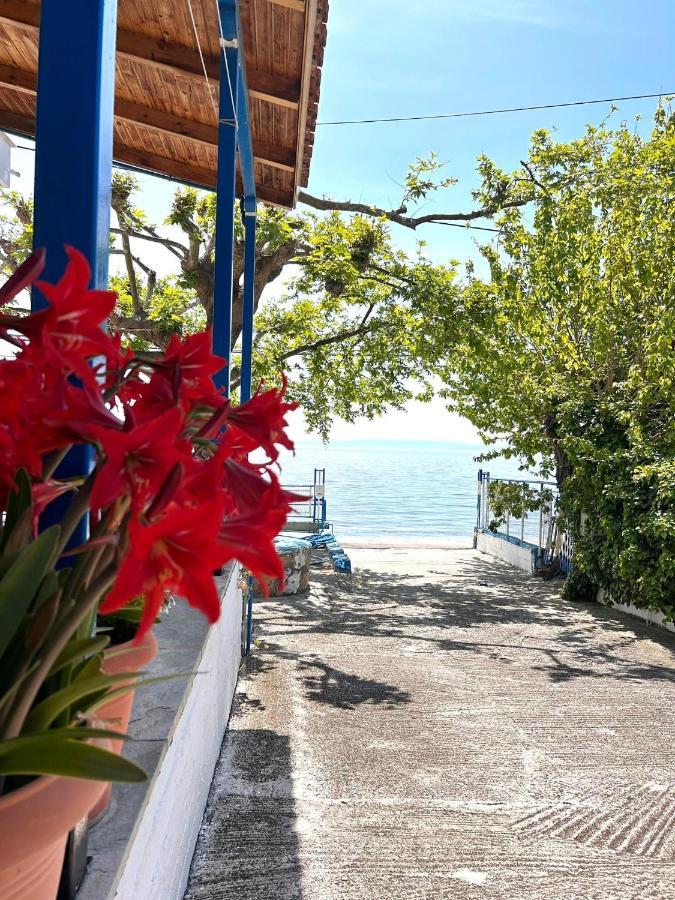 Αγκυροβόλιο Hotel Ilia Ngoại thất bức ảnh